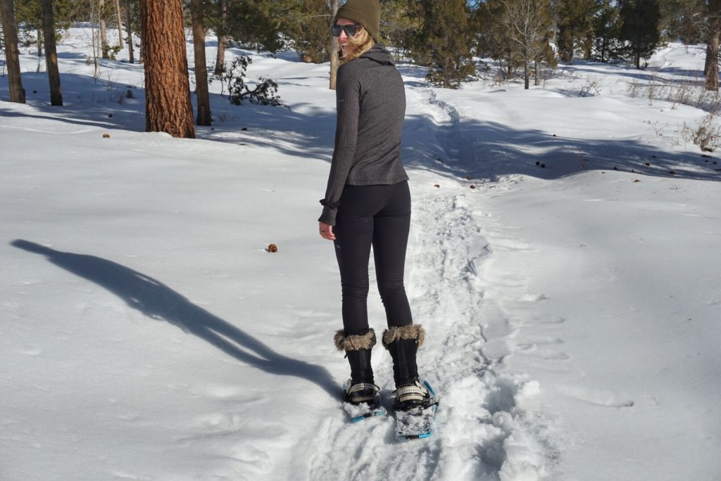 how to snowshoe guide